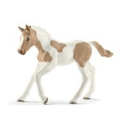 Puledro Paint Horse (2513886)