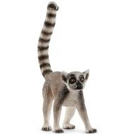 Lemure Catta (2514827)