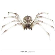 Scheletro Di Ragno 85x35 Cm (24976)