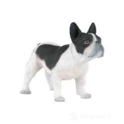 Bulldog francese bianco e nero (54006)