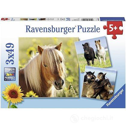 Puzzle 3x49 cavalli (080113)