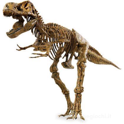 Scheletro Di T-Rex (IP30301)