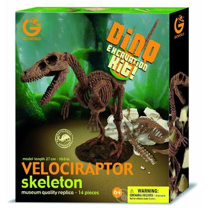 Excavation Kit Velociraptor Scheletro