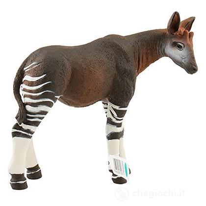 Okapi (PAP50077)