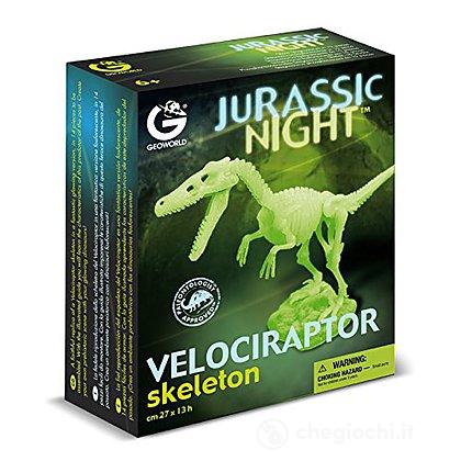 Dinosauro Velociraptor scheletro