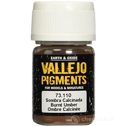 Pigment 73110 Burnt Umber