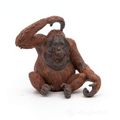 Orangutan Orango (PAP50120)