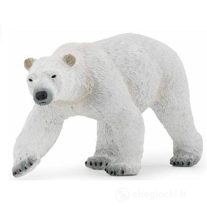 Orso polare            (50142)