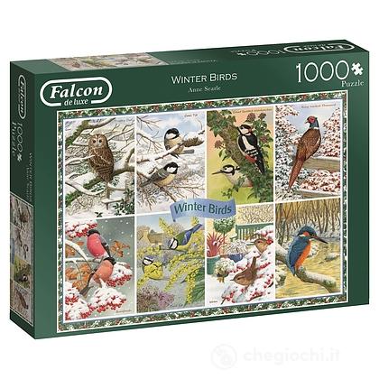 1000 Falcon  - Ucelli Invernali