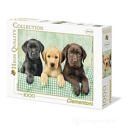 I tre Labrador 1000 pezzi High Quality Collection (39279)