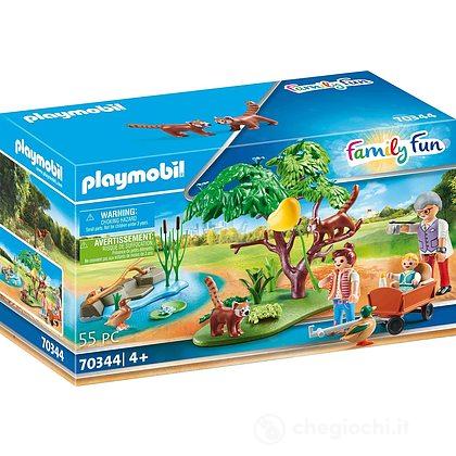 Angolo Dei Procioni (70344)