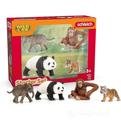 Starter Set Wild Life Asia (42736)