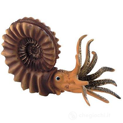 Ammonite (58400)