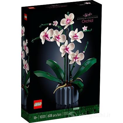 Orchidea - Botanical Collection (10311)