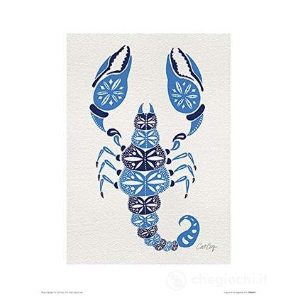 Cat Coquillette: Scorpion (Stampa 30X40 Cm)