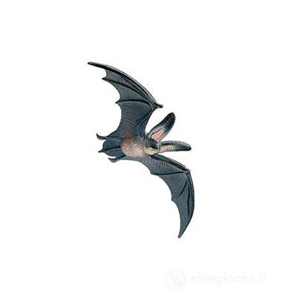 Pipistrello piccolo (68441)