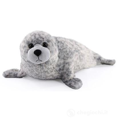 Foca Maculata Cm.38