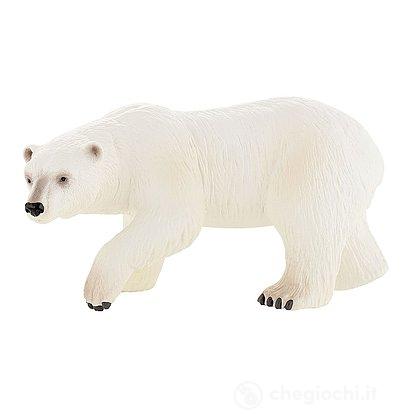 Orso polare (63537)