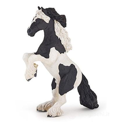 Puledro Cavallo Cob (PAP51549)