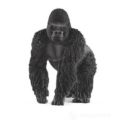 Gorilla maschio (2514770)