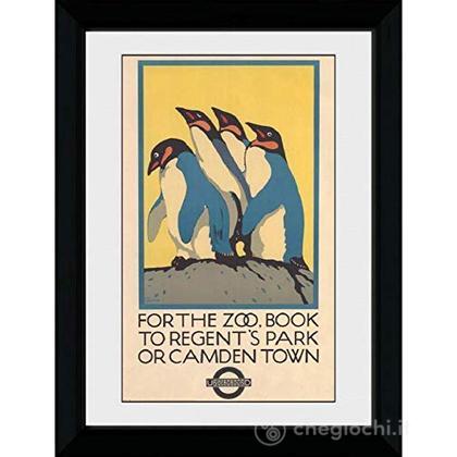 Transport For London: Zoo 30Mm Black Stampa In Cornice 50x70 Cm