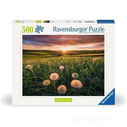 Denti di leone al tramonto - Nature collection - Puzzle 500 pezzi (12000592)