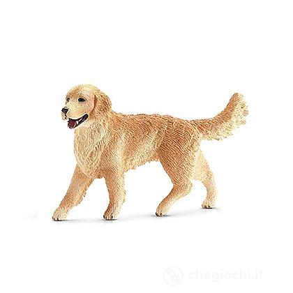 Golden retriever femmina (2516395)