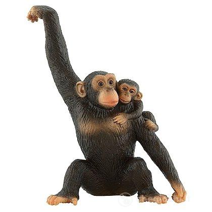 Scimpanzé con cucciolo (63594)