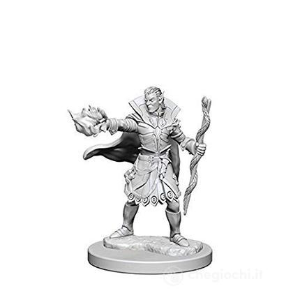 Pathfinder Dcum Elf Male Sorcerer