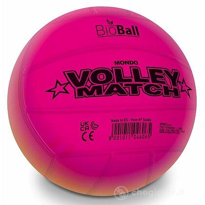 Pallone Volley Match cm 21,5(04606)