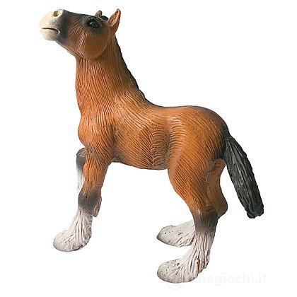 Cavalli - Shire Horse Foal (62665)
