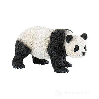 Panda (63678)