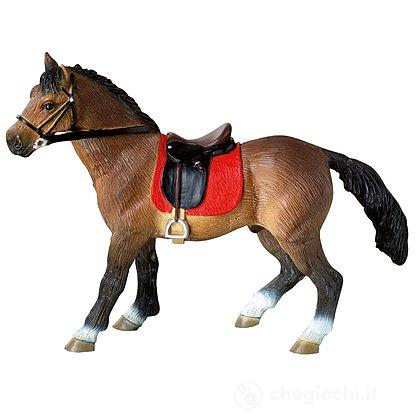 Cavalli - Hanoverian Stallion (62682)