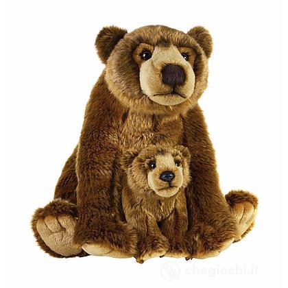Orso Grizzly con baby cucciolo (770766)