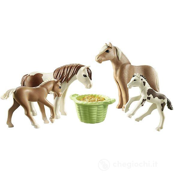 Cavalli e Pony (71000)