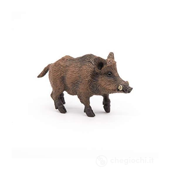 Cinghiale (2053011)