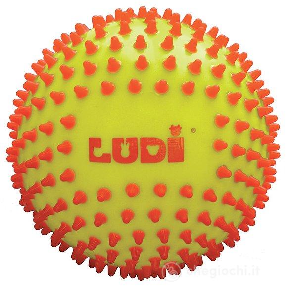 Palla Sensoriali Bicolore Ø 15Cm (30018)