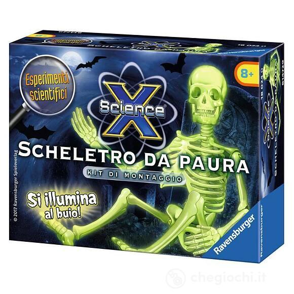 Scheletro da paura (18024)