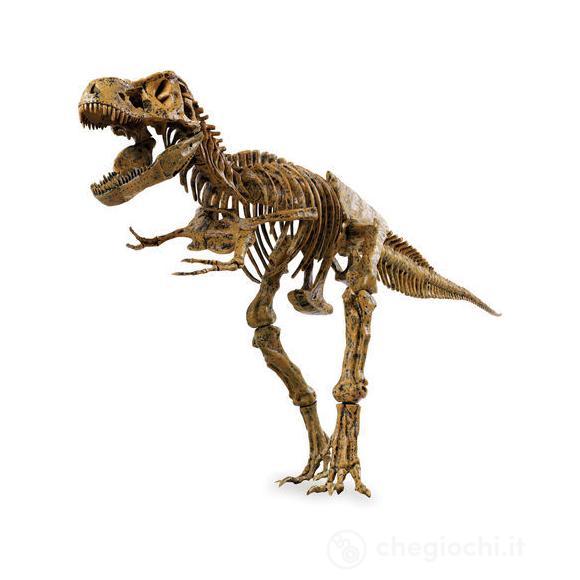 Scheletro Di T-Rex (IP30301)