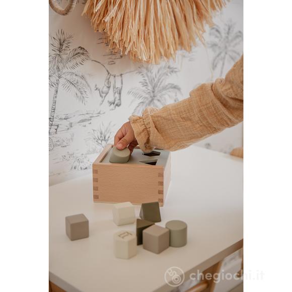 Box Ordina Forme Oliva