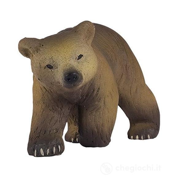 Cucciolo di orso dei Pirenei (PAP50031)
