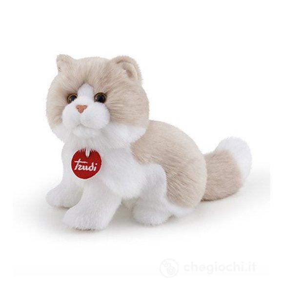 Gatto Giada S (21036)