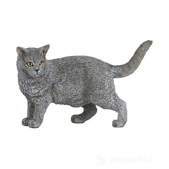 Certosino (PAP54040)