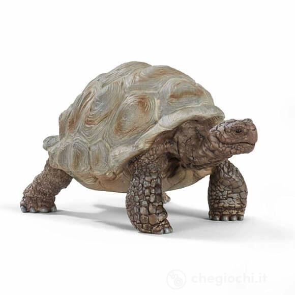 Tartaruga Gigante