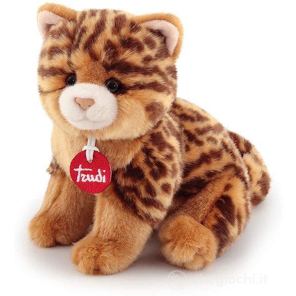 Gatto Brad animalier S (21041)