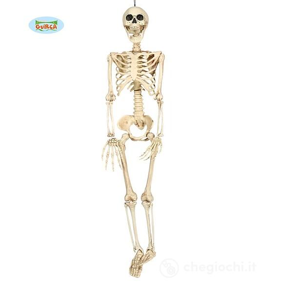 Appendibile Scheletro Umano Cm 90 (26043)