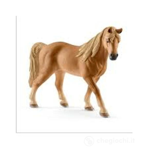 Cavalla Tennessee Walker