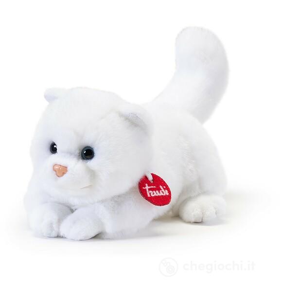 Gatto Brad bianco S (21044)