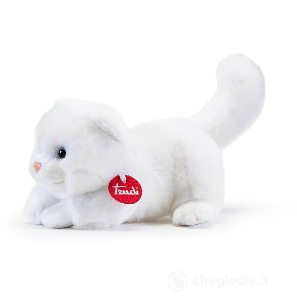 Gatto Brad bianco S (21044)