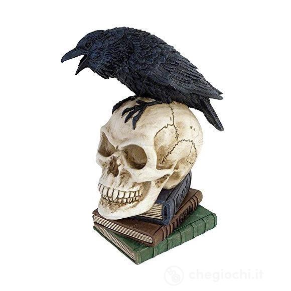 Poe'S Raven (Teschio)